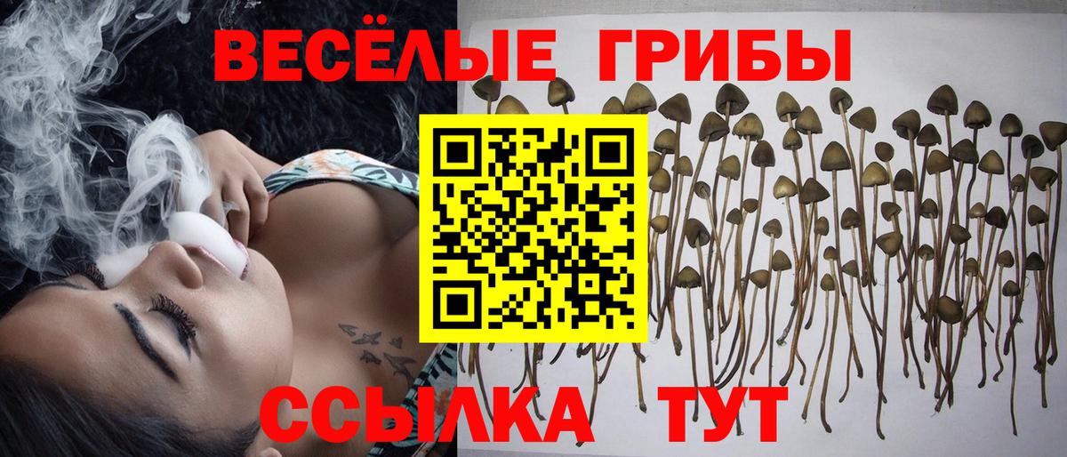 Псилоцибиновые грибы прущие грибы Магадан