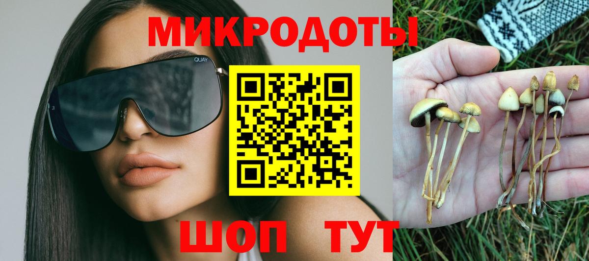 Галлюциногенные грибы Cubensis  Вход с VPN  как найти   Магадан 